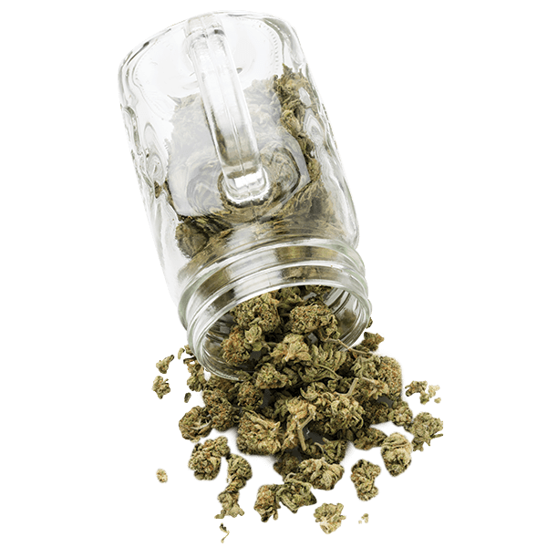 Photo of a mason jar spilling out nuggets of marijuana buds.