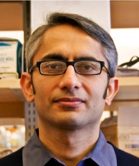 Nirao M. Shah, MD, PhD