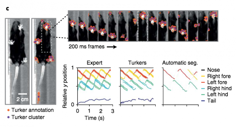 Images and graphs showing result similarities between experts and Turkers
