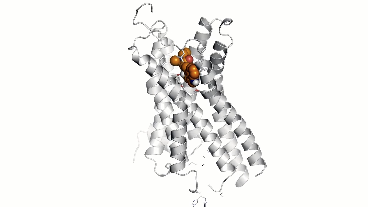 LSD Like Molecules Counter Depression Without The Trip Online 