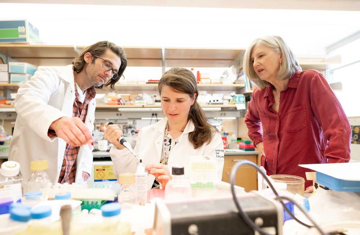 Researchers William Krause, Muriel Babey, and Holly Ingraham work at the Ingraham Lab.