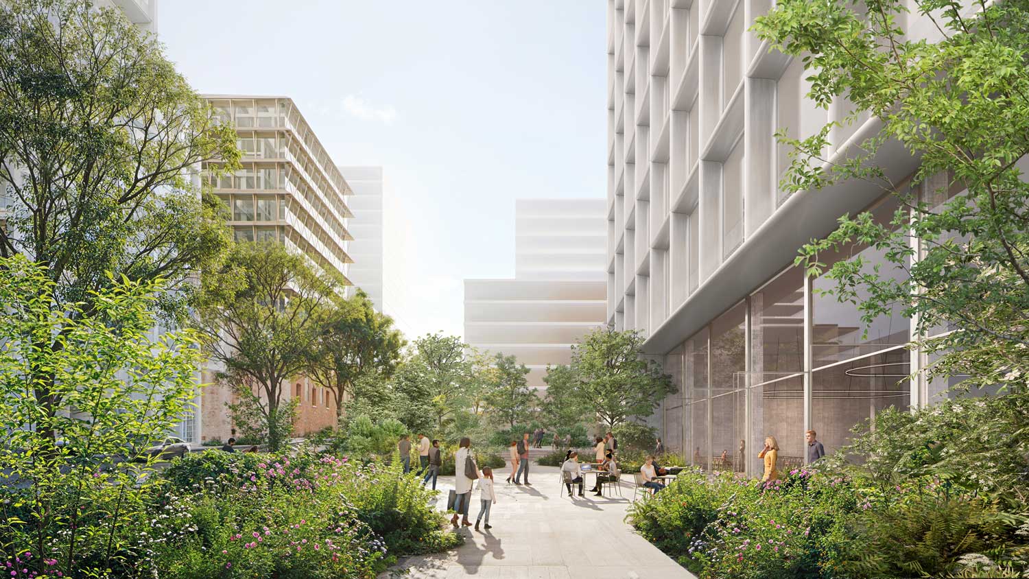 A rendered image of an outdoor garden at the UCSF Clinical and Life Sciences Building.