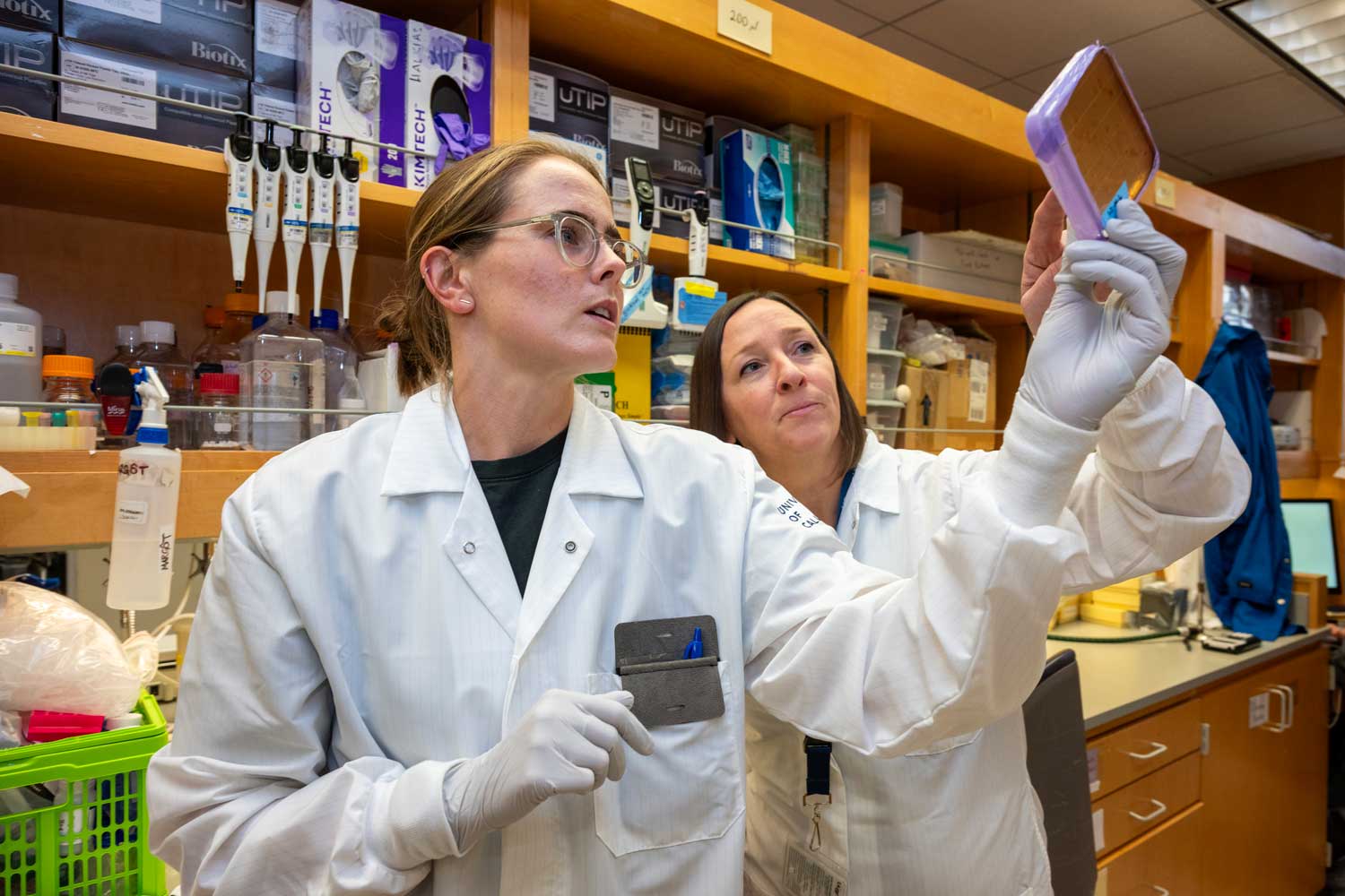 Margot Bacino and Sue Lynch wear white lab coats and look up at a petri dish at Sue Lynch's lab.