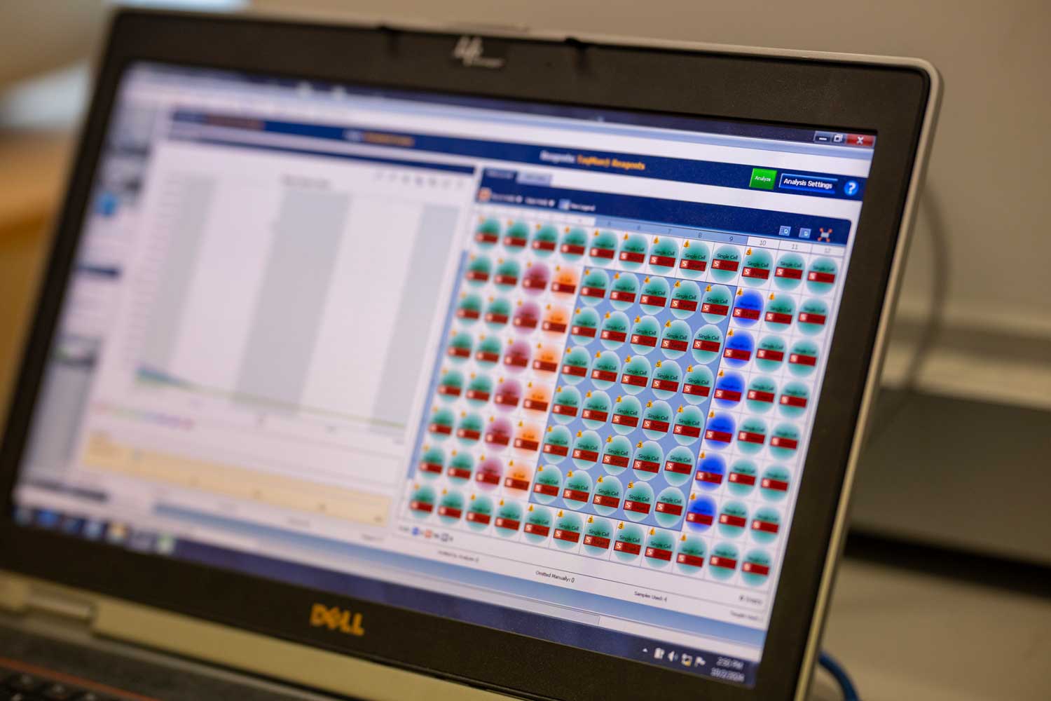 A computer at the Sue Lynch lab showing a digitized table of single cells.