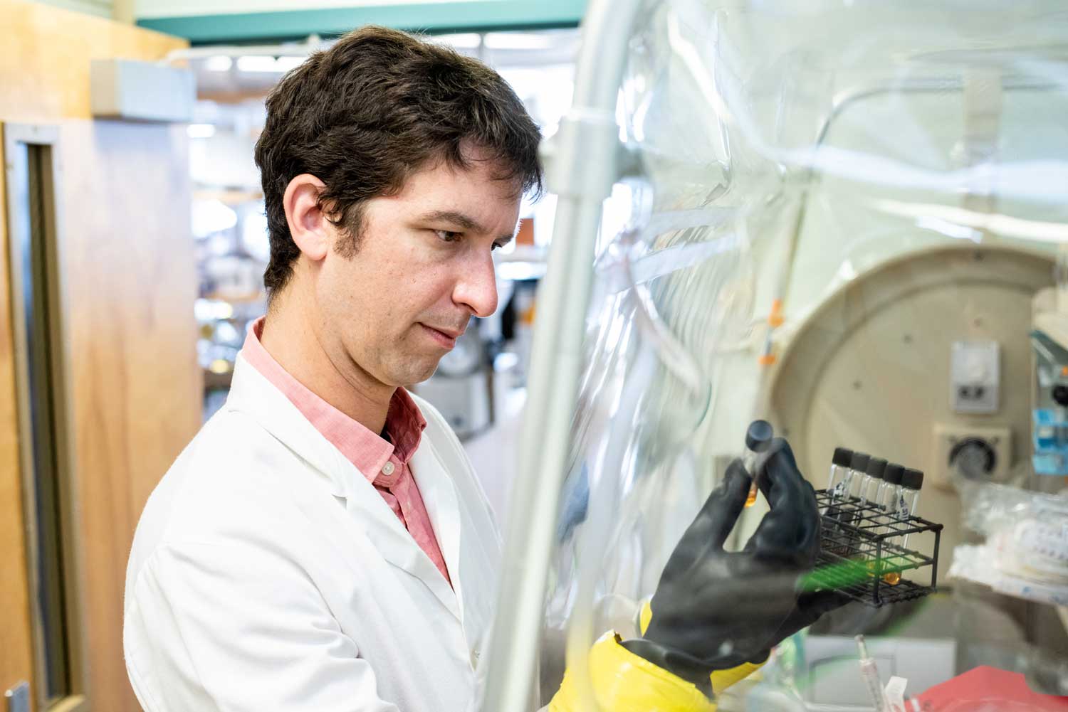 Peter Turnbaugh examines a test tube filled with liquid in his lab.