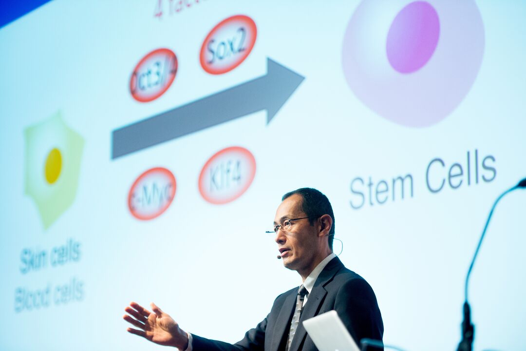 Shinya Yamanaka presents to a crowd about his research against a projection of an explanation of his stem cell research.