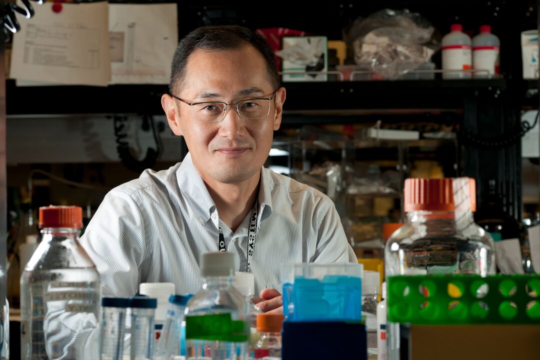 Shinya Yamanaka in a lab.