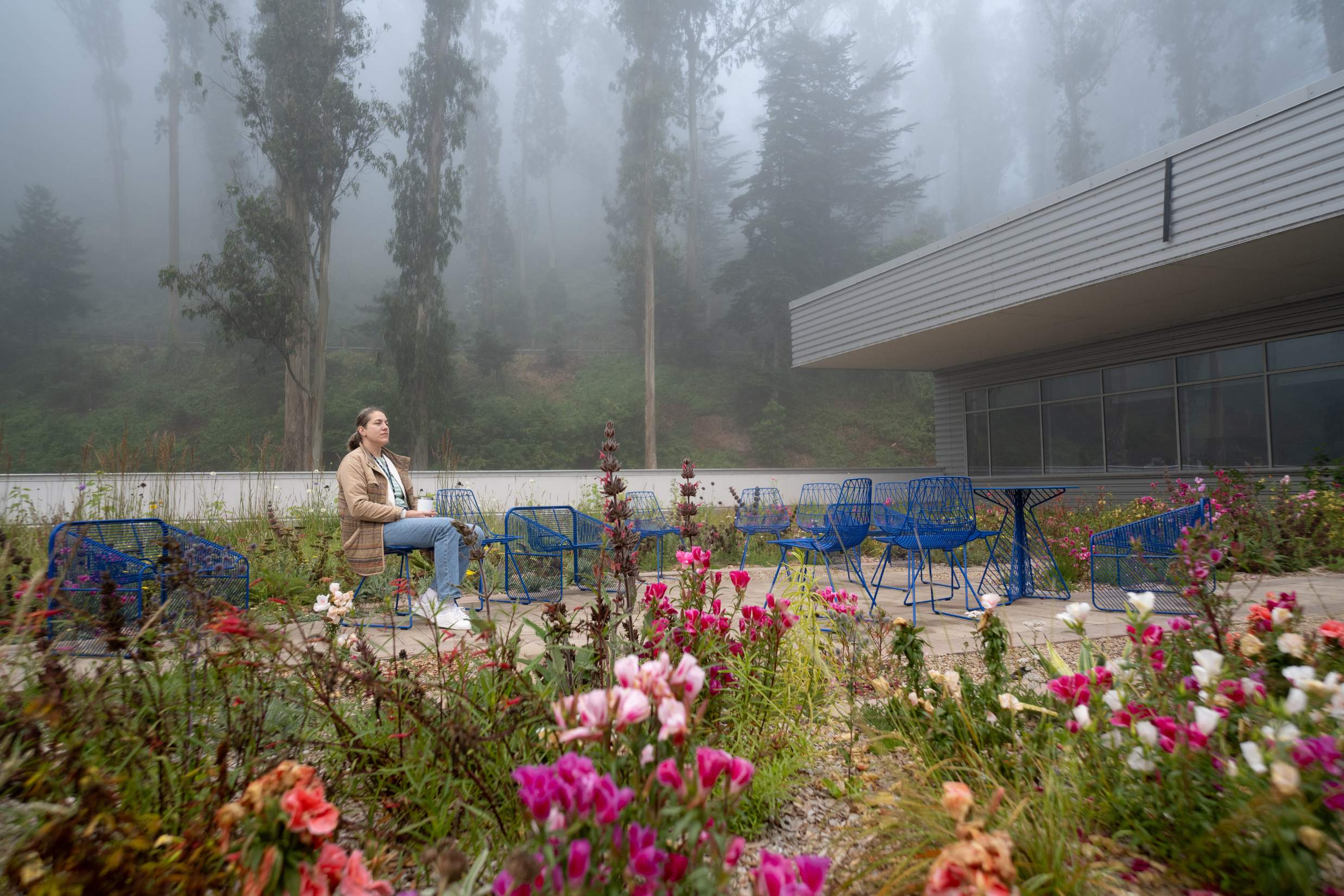 Beautiful garden with blue seating where a researcher sits contemplatively.