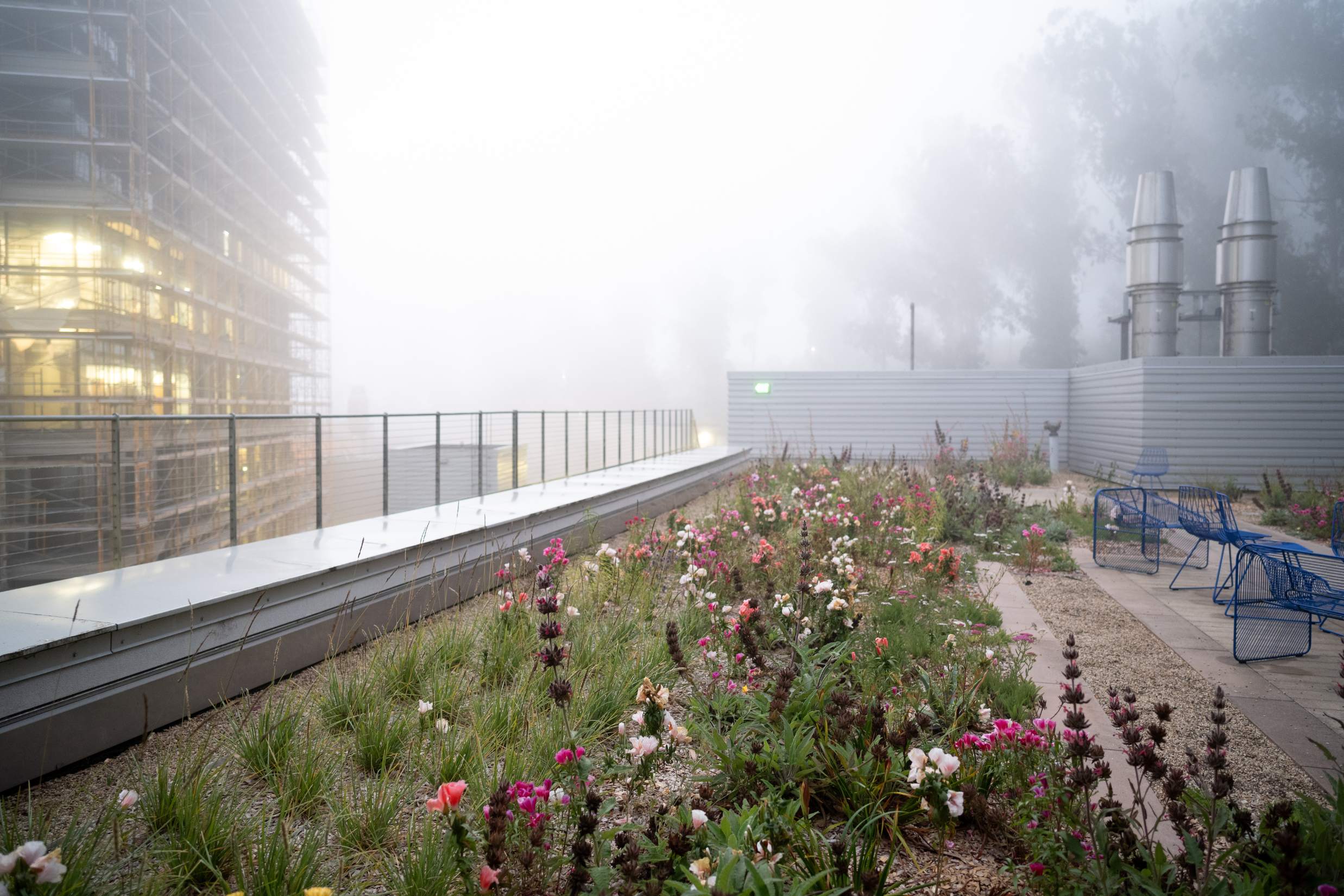 Wide shot of large urban rooftop garden in the mist.