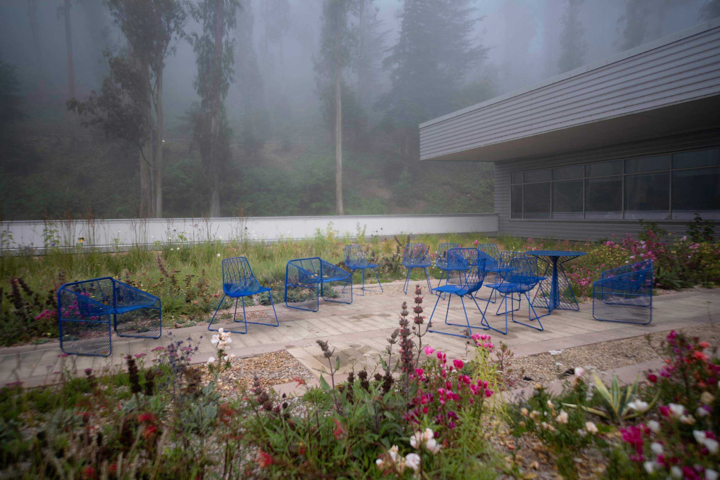 Empty blue patio chairs in misty rooftop large garden.