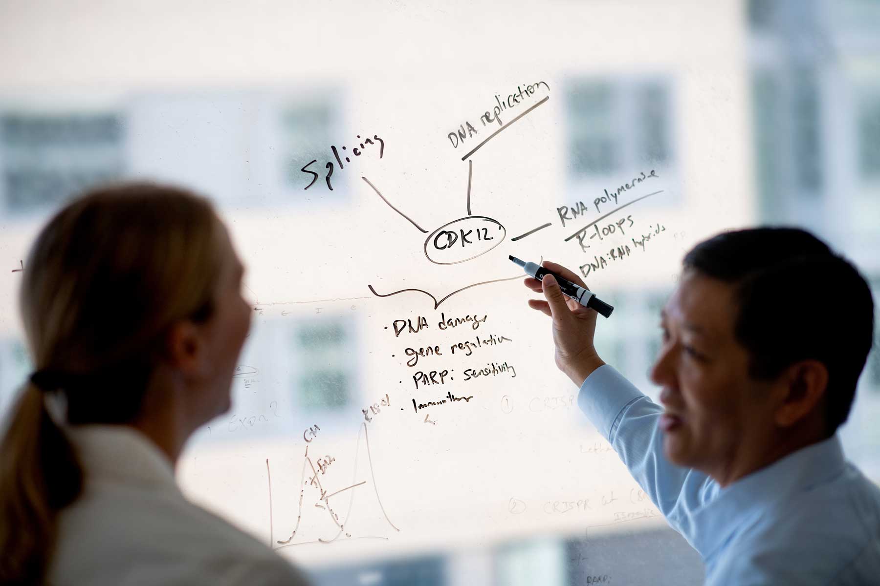 Postdoctoral scholar Lisa Chesner, PhD, and Feliz Feng, MD, talk animatedley as Feng writes on a transluscent dry-erase board.