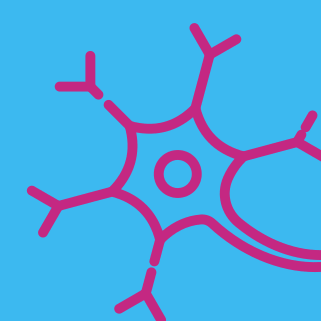 A graphic icon of a neuron.