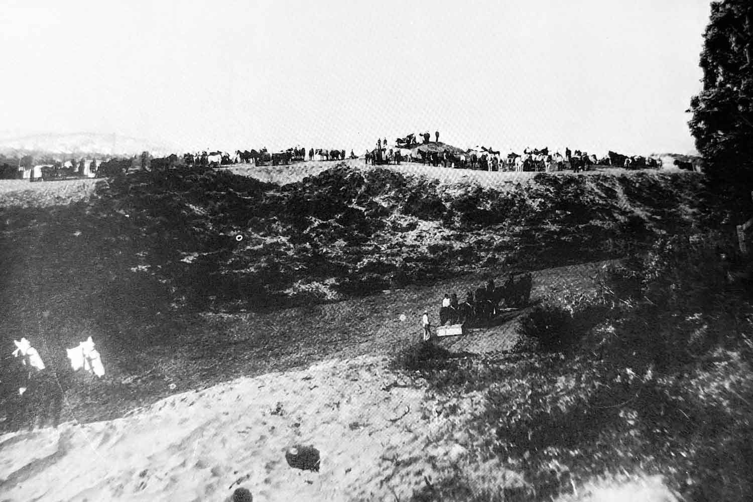 A black and white photo that is the oldest-known photo of the Parnassus campus site, showing horses and people gathered around the previous sand dunes that occupied the site.