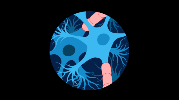 An illustration of neurons and myelin, the protective covering of neurons.