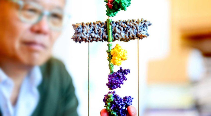 The foreground shows a stack of colorful molecule models on a stand, and researcher Wendell Lim observes them closely in the background.