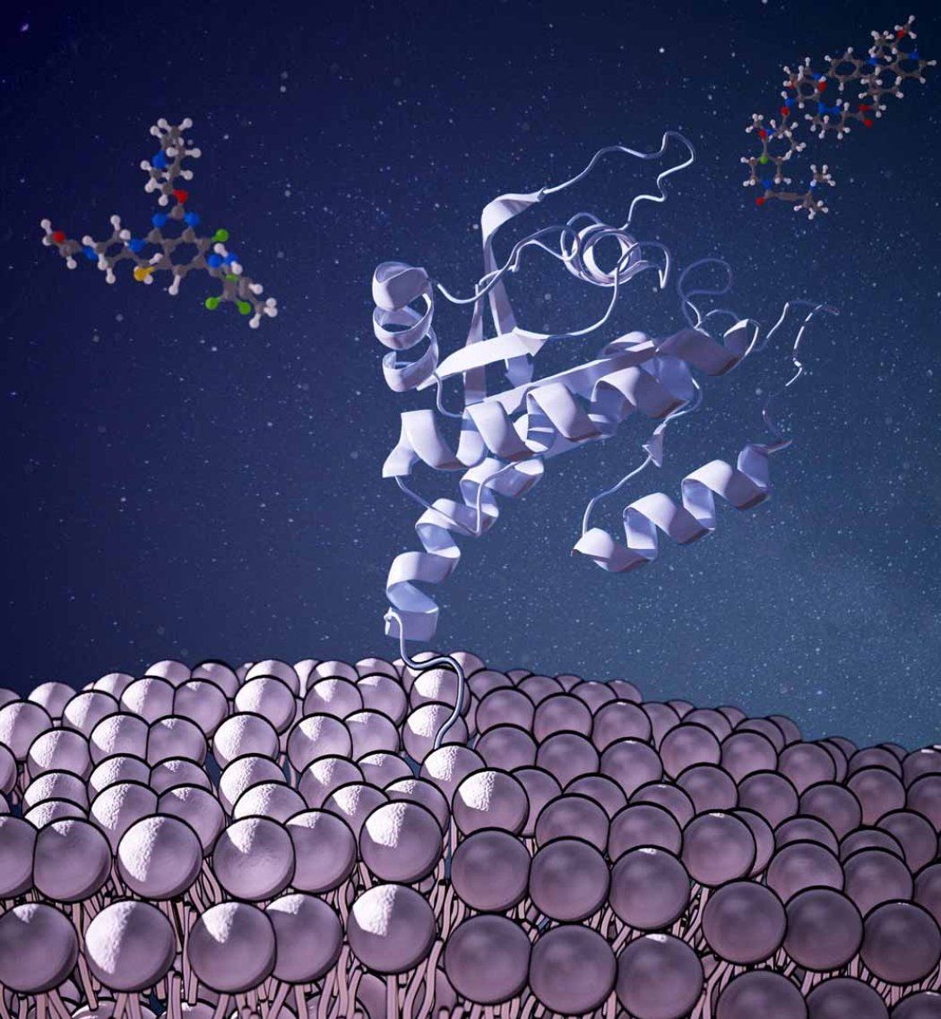 An illustration of a GTPase thethered to a cell.